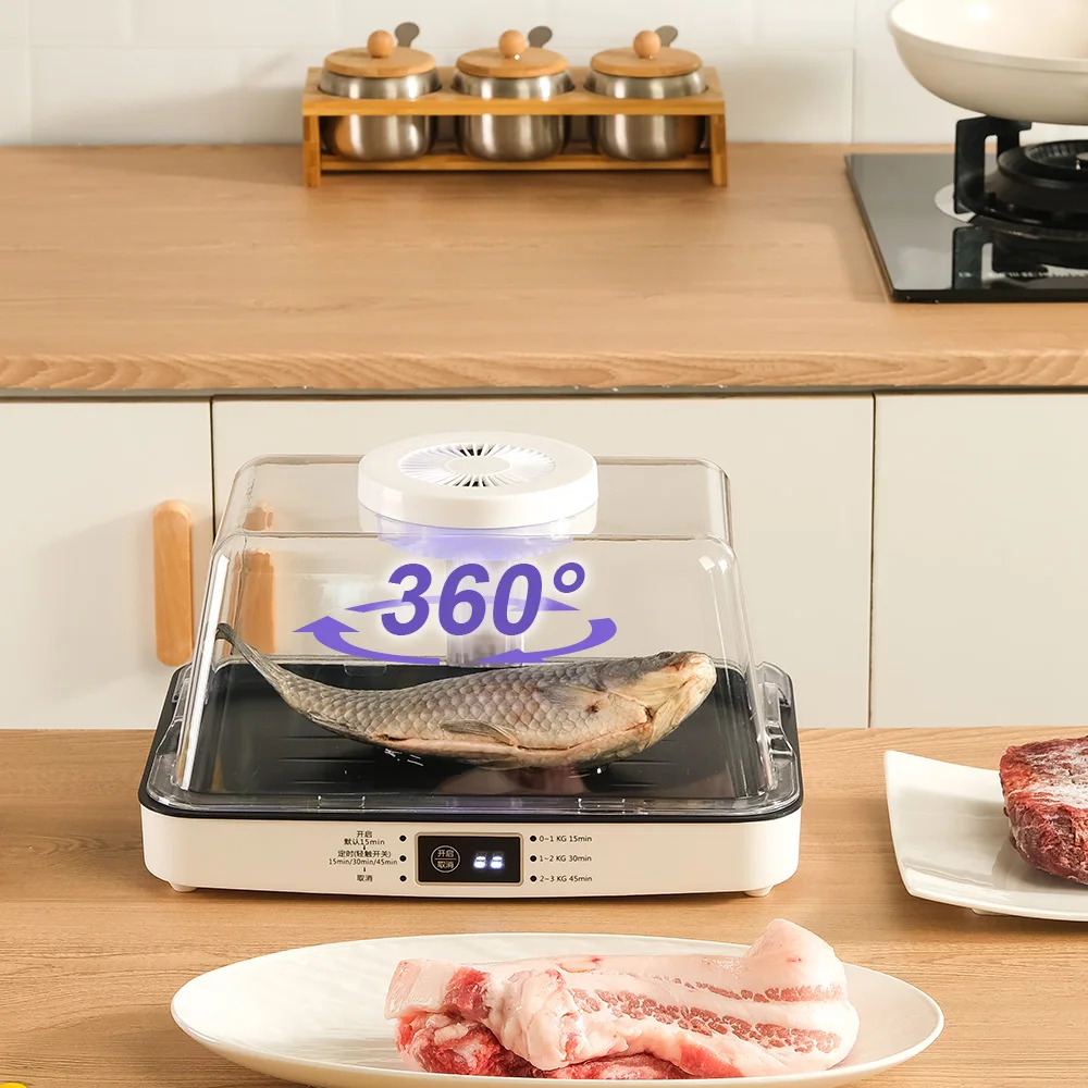 

360 Degree Multi Ways Thawing Low Energy Meat Defrosting Machine
