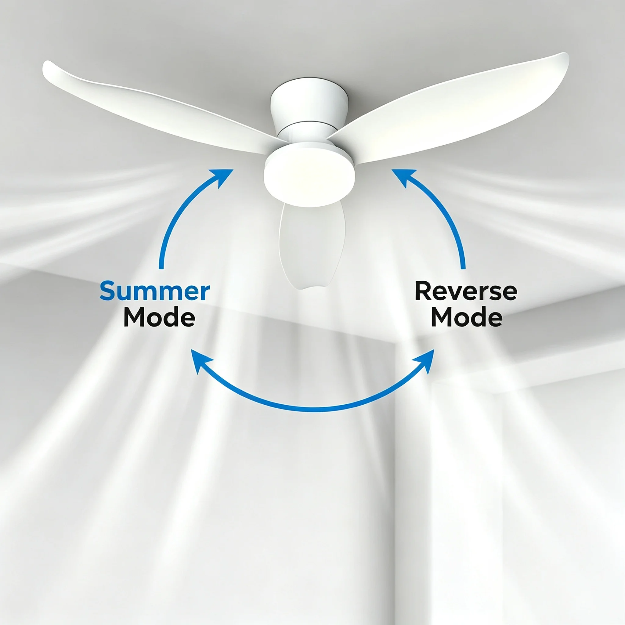Ventilatore da soffitto Simpli - Decor Lighting Ceiling Fans recensione e prezzo