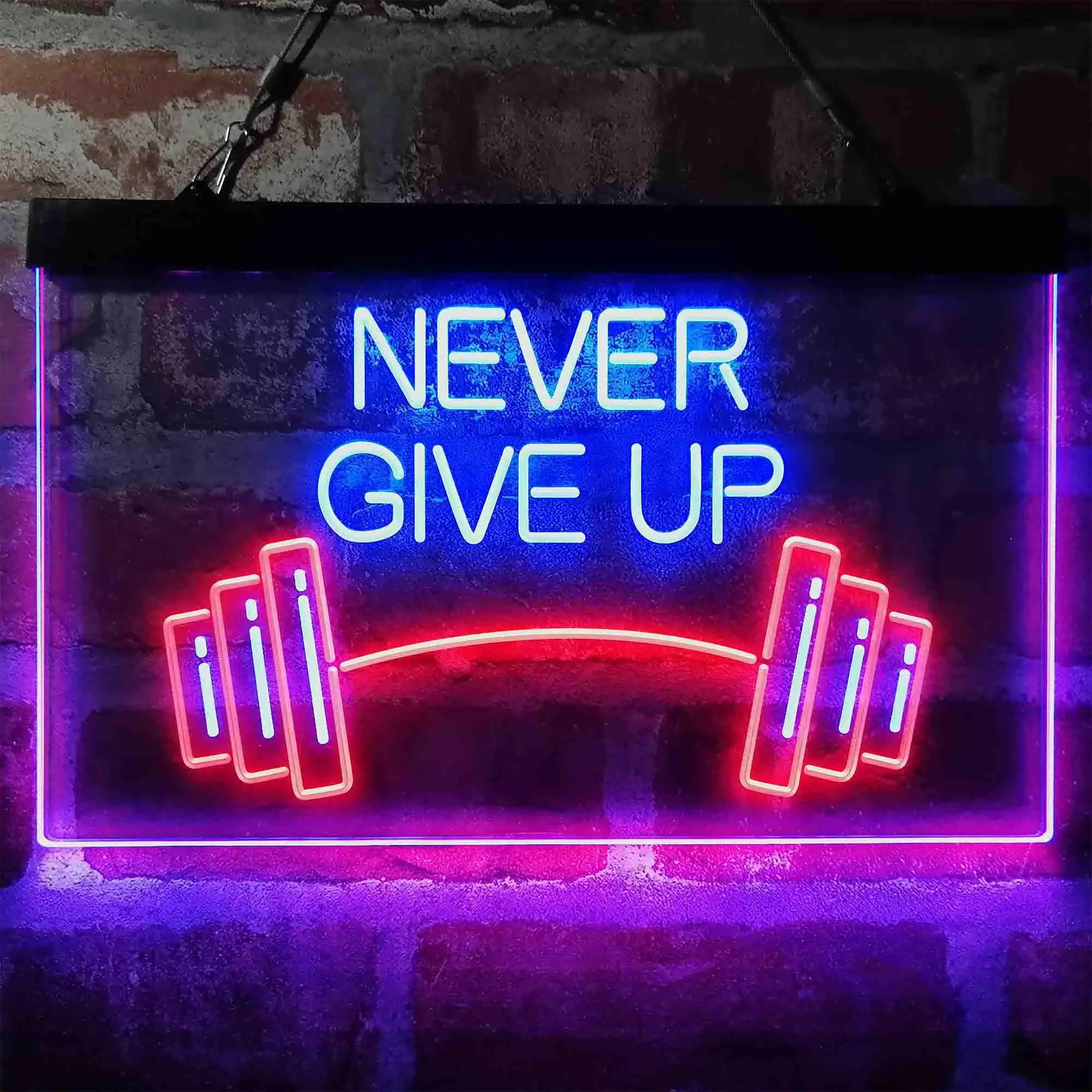Never Give Up Weight Train Fitness Gym Dual Color Led Neon Sign st6-i4041