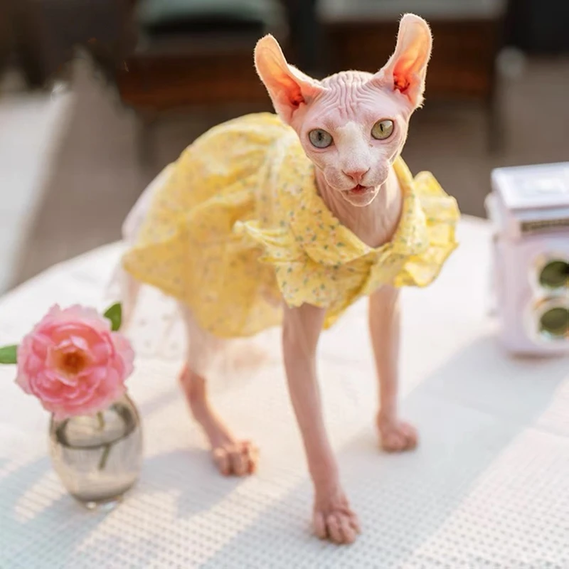 Sphinx Pet Cat Princess Clothes Black Dresses For Sphynx Lace Floral Kitten Suspender Skirt Elegant Costume Devon Spring Summer