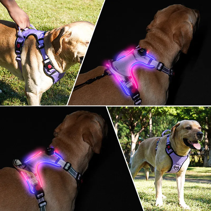 Luminous Dog Harness USB Rechargeable LED Light Night Safety Pet Dog Chest Strap Glowing Harness for Small Medium Large Dogs