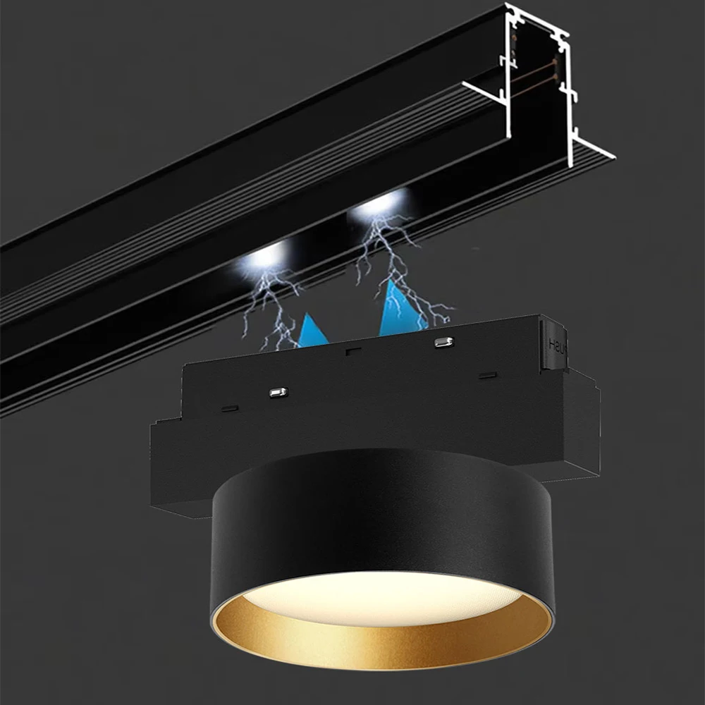 PNY LED Magnetic Track Lighting System 48V DALI Dimmable Living Room Home 5W 8W 12W Magnetic Rail Lamp Black+Gold White+Gold