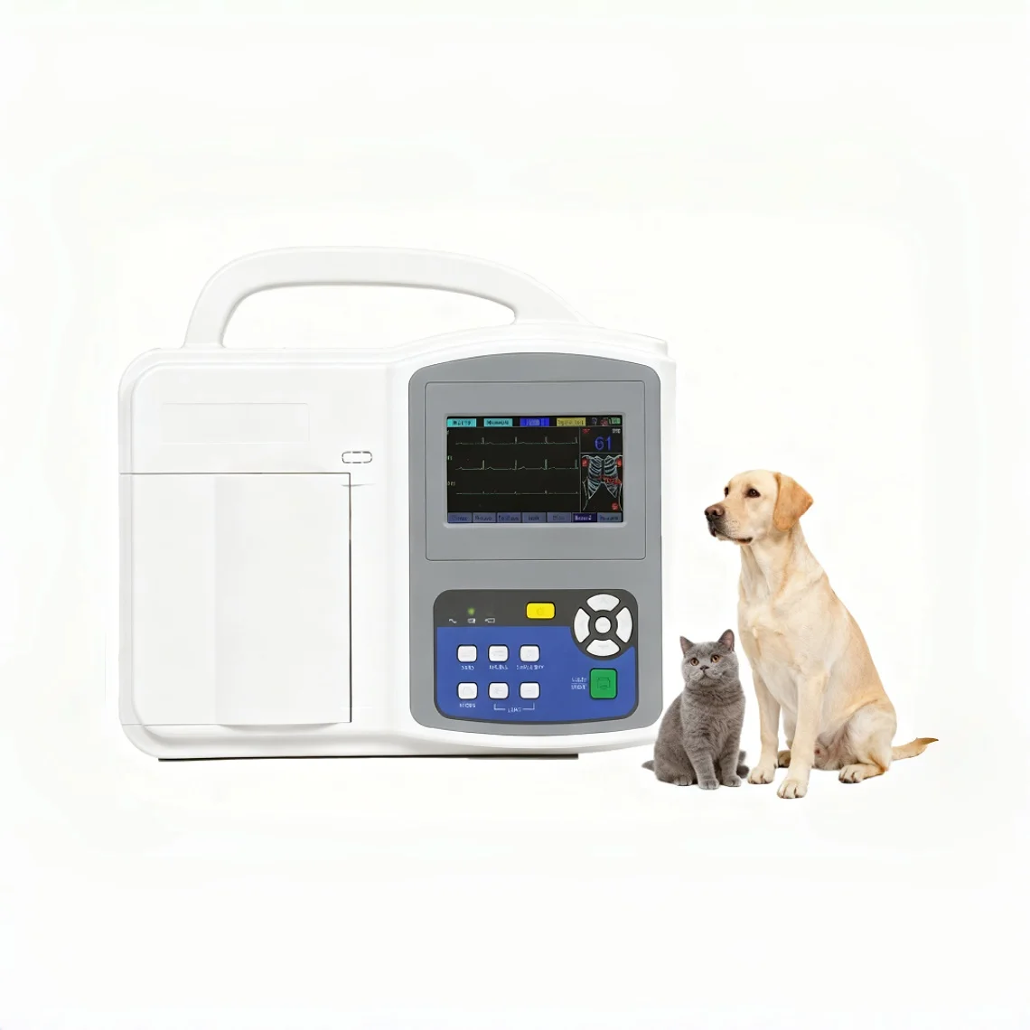 

ЭКГ-машина для домашних животных для крыс, мышей, кошек и собак — детектор ЭКГ и монитор