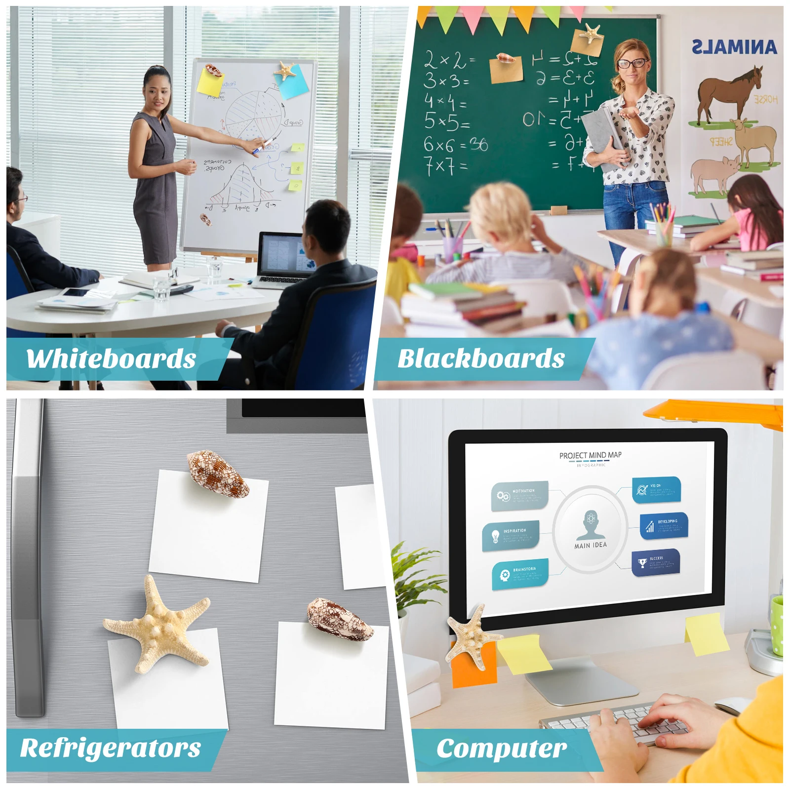 

7 pcs Sea Star Shell Decorations Fridge Magnets Marine Theme Smooth Rounded No Scratch Magnetic For Refrigerator