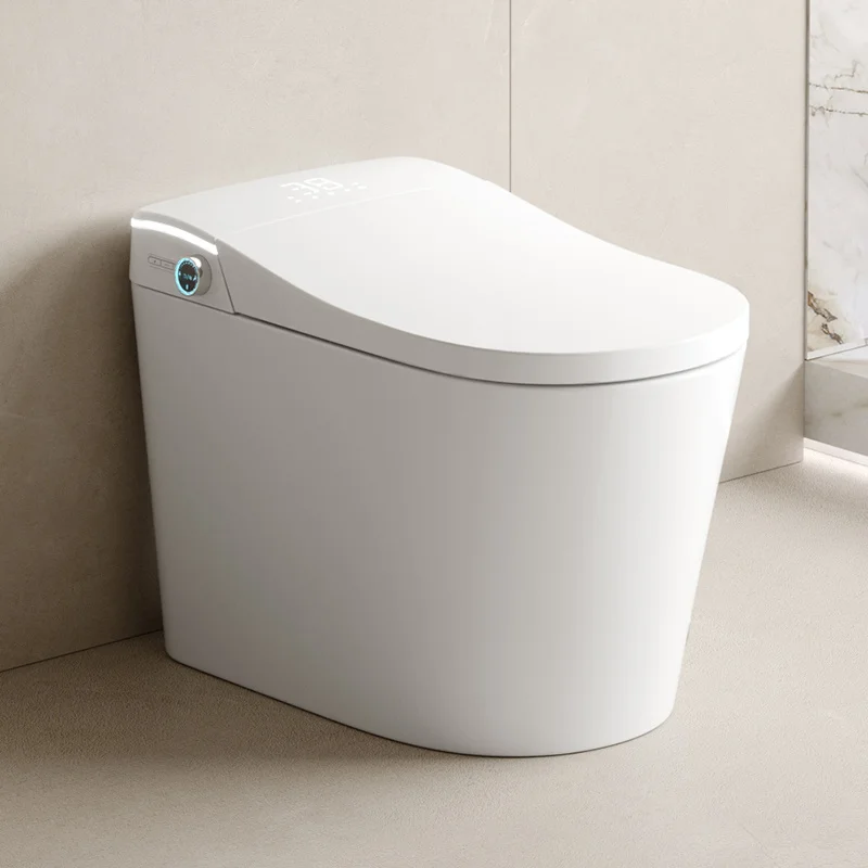 Modern Bathroom Smart Toilet Sensor Automatic Flush Remote Control Smart Toilet Intelligent with Warm Water