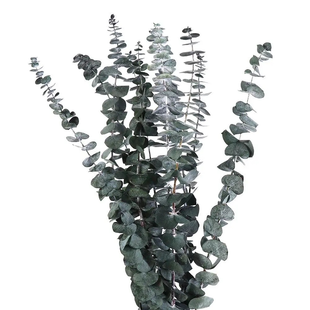 10 Pcs Real Leaves Hanging Dried Eucalyptus 22 inch Green Artificial Plants Flowers Multi-Purpose Made From Fresh Eucalyptus