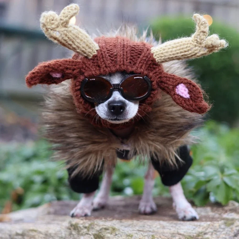 หมวกถักฤดูหนาว WARM Puppy หมวกแฟชั่นกระต่ายหูออกแบบหมวกสําหรับสุนัขสัตว์เลี้ยงน่ารัก Cat Puppy สัตว์หมวกคริสต์มาสหมวกถัก