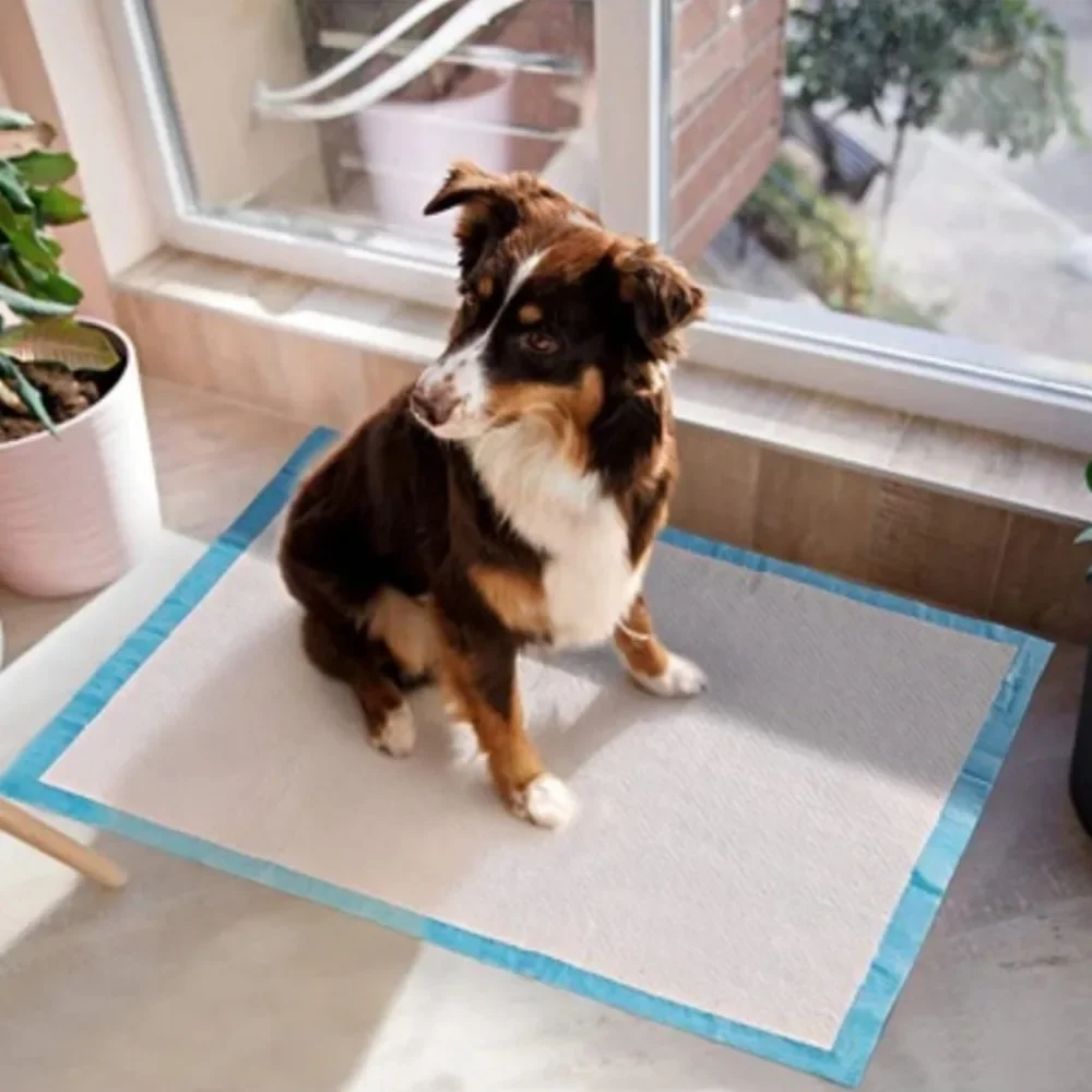 Thumbnail 4 - #30 Best Dog Diaper Pads & Liners to Buy In 2026