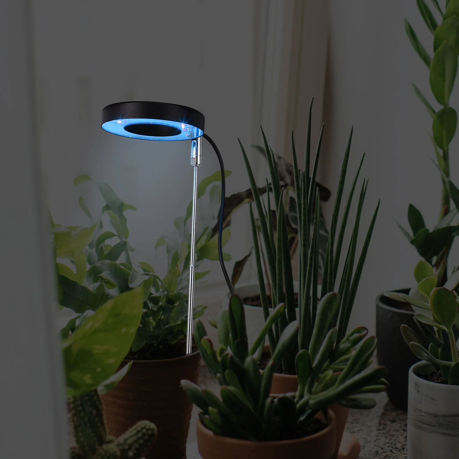 Imagem -04 - Planta Interna Cresce Luzes Crescente para Plantas Lâmpada Suporte Suculento com Plantas de Casa