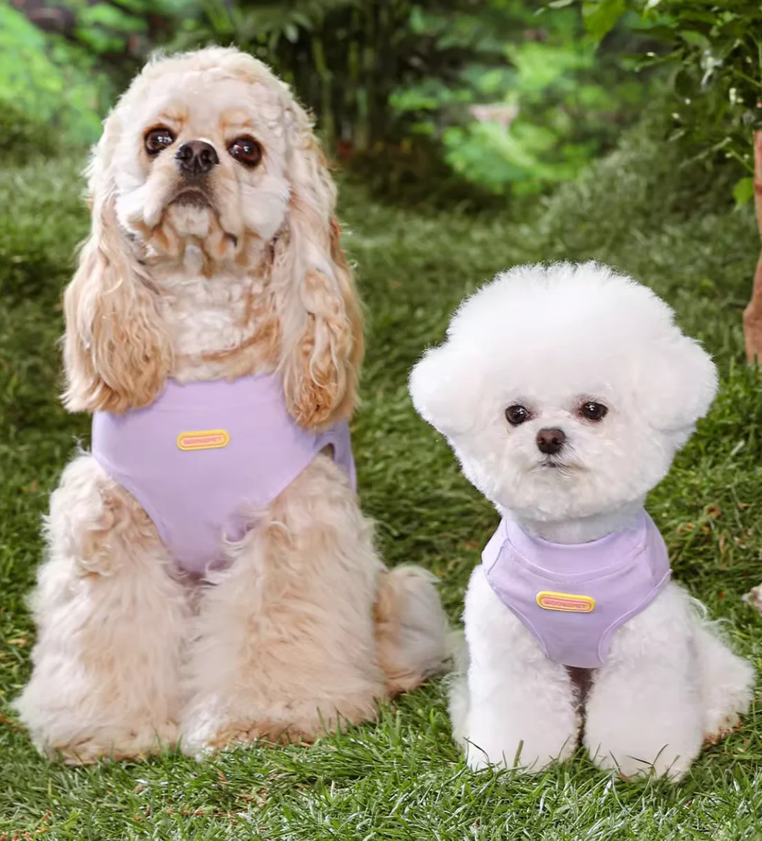 

Spring summer clothes for pet, puppy, French Bulldog