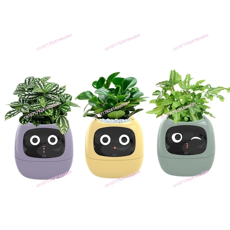 

New Smart and Cute Pet Pet Pot Ivy Table Top Green Plants Let Your Plants Express Emotions