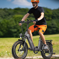 FAFREES Fatbike 45 km/h Folding E Bike 20 Inch for 160-200 cm Traction Aid Ebike Electric Bicycle 150 kg E Bicycle Mountain Bike