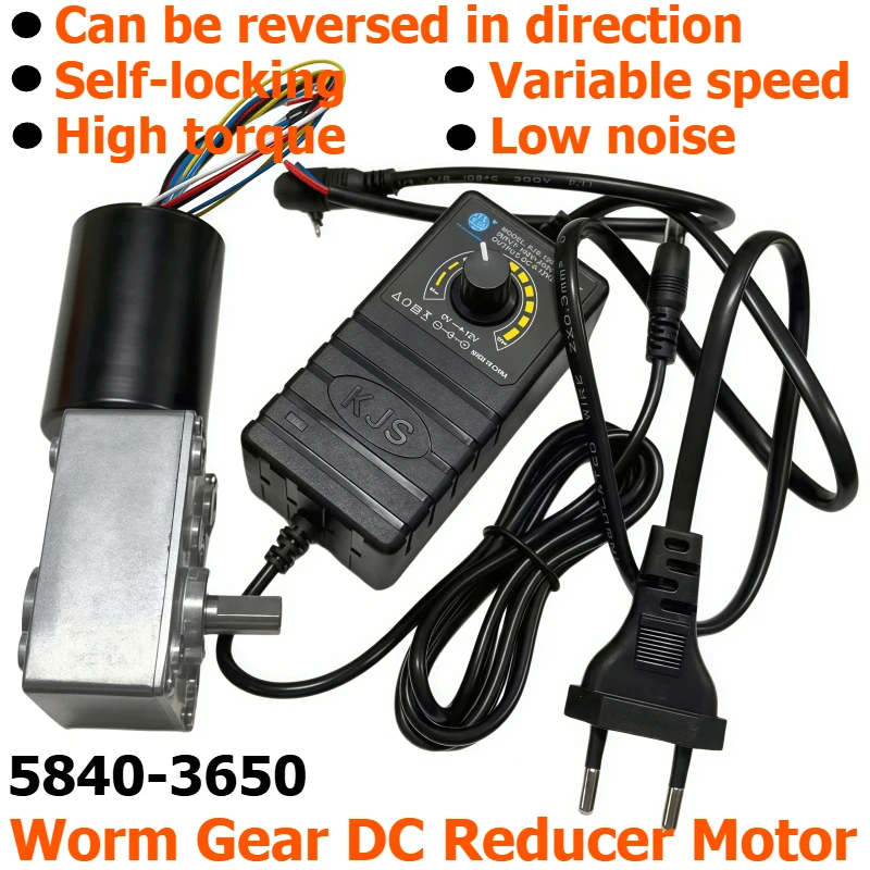 5840-3650 DC brushless turbine worm gear reducer motor, 12V/24V self-locking brake belt, adjustable power supply, power cord