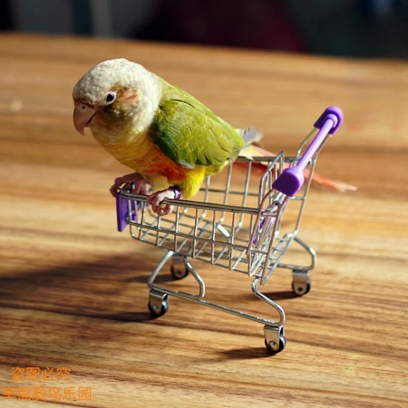 1 pc Random Color Parrot Mini Shopping Cart Toy for Bird Parrot Funny Alloy Bird Training Cage Accessories