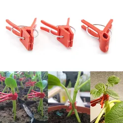 10/50pcs Garden Graft Clip Plastic Plant Support Clips Anti-fall grafting Clamps For Vine Vegetables Tomatoes Watermelon pumpkin