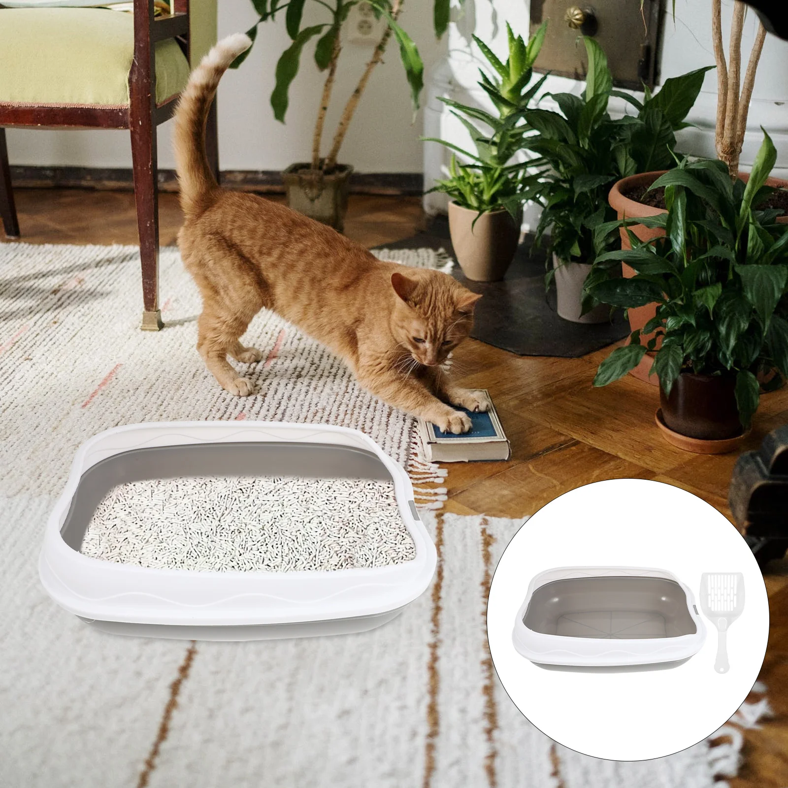 Semi enclosed Cat Litter Box Large Space PP Material Keeps Home Clean No Smell Easy Potty Training Pet Toilet Cat Sand Dome