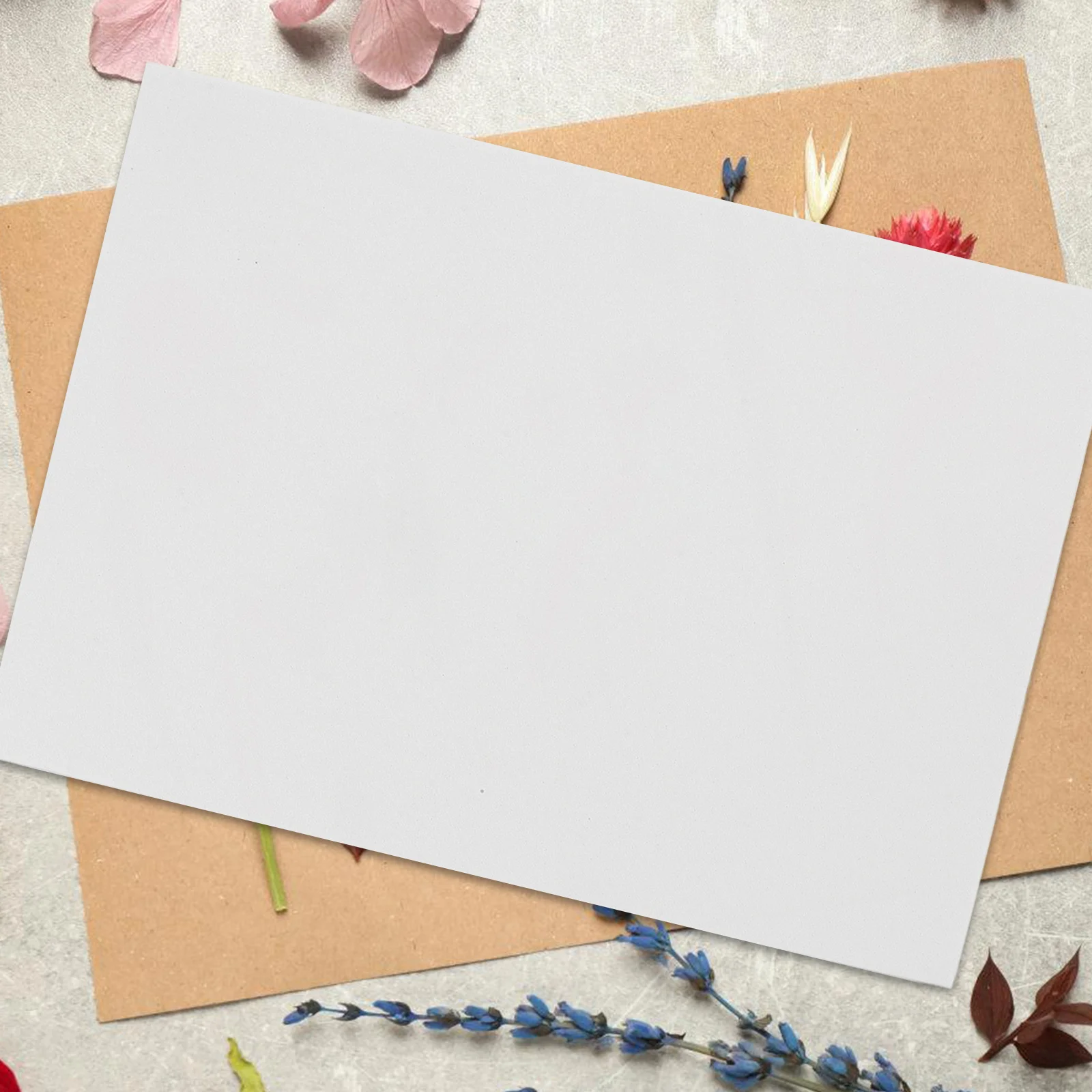 

Butterfly Specimen Board Large Size Eva Pinning Plate Easy Maintenance Display Tool for Collectors Specimen Pinning Board