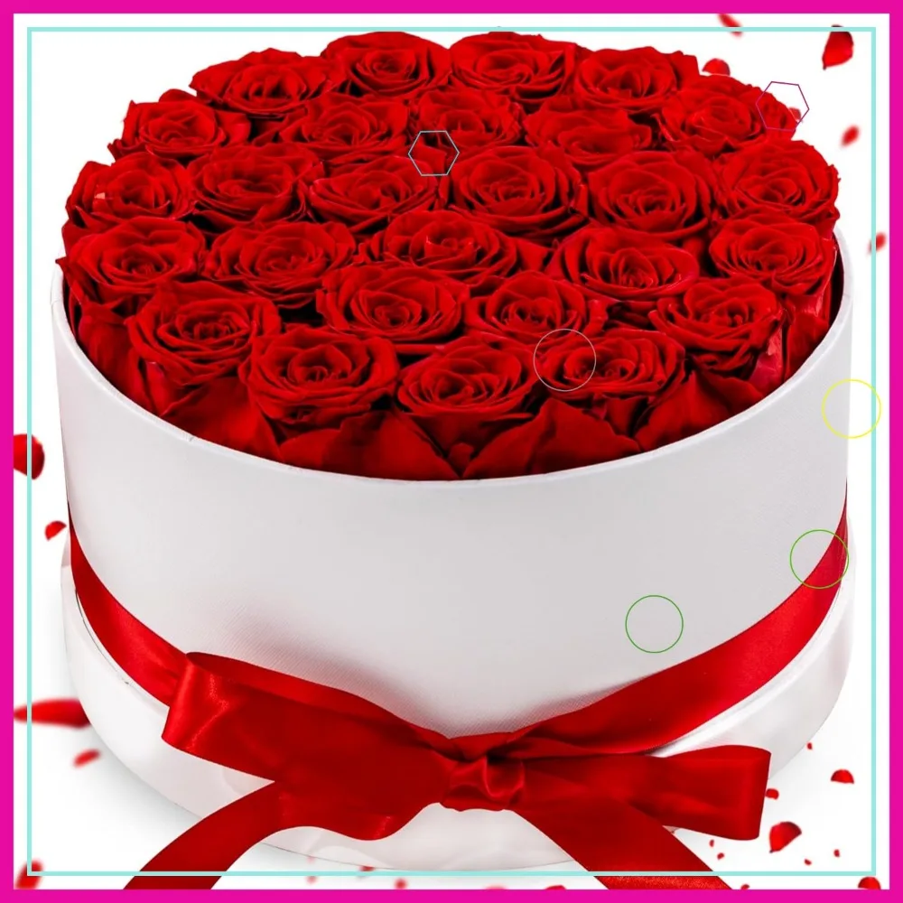 

27 Eternal Roses in White Box, Preserved Real Flowers Gift for Women, Anniversary Valentine Birthday (Red)