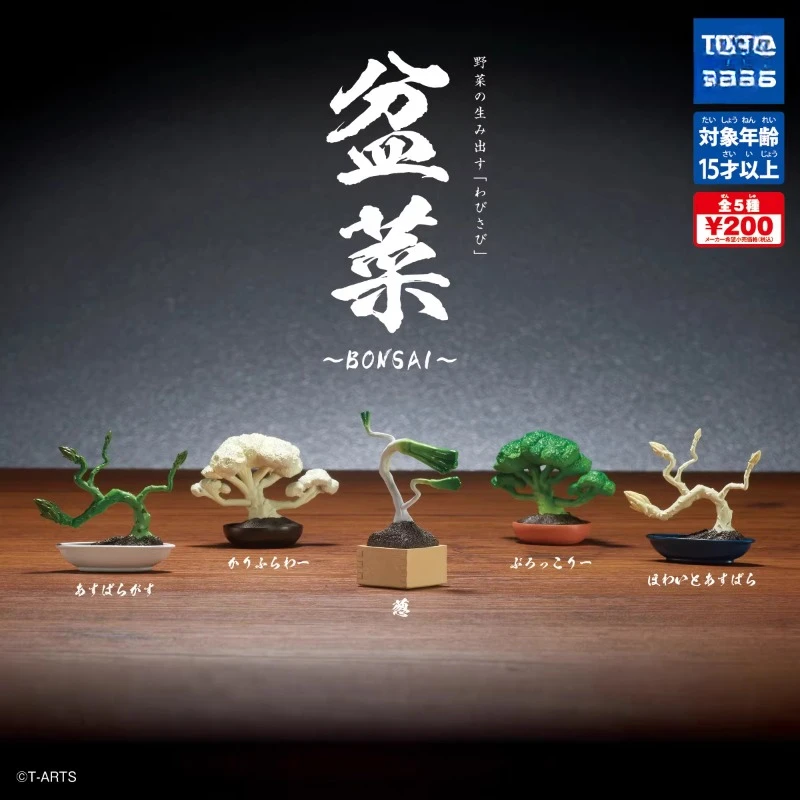 

Original Gashapon Kawaii Cute Anime Vegetable Bonsai Asparagus Cauliflower Figure Miniature Items Gachapon Capsule Toys Gift