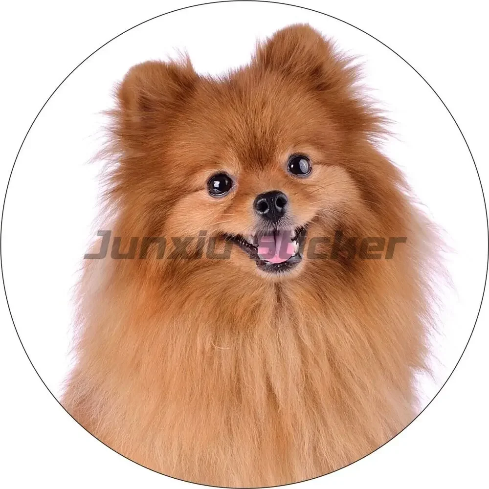 

Chihuahua Dog Pet Waterproof Car Sticker Motorcycle Laptop Decorative Decor Decal
