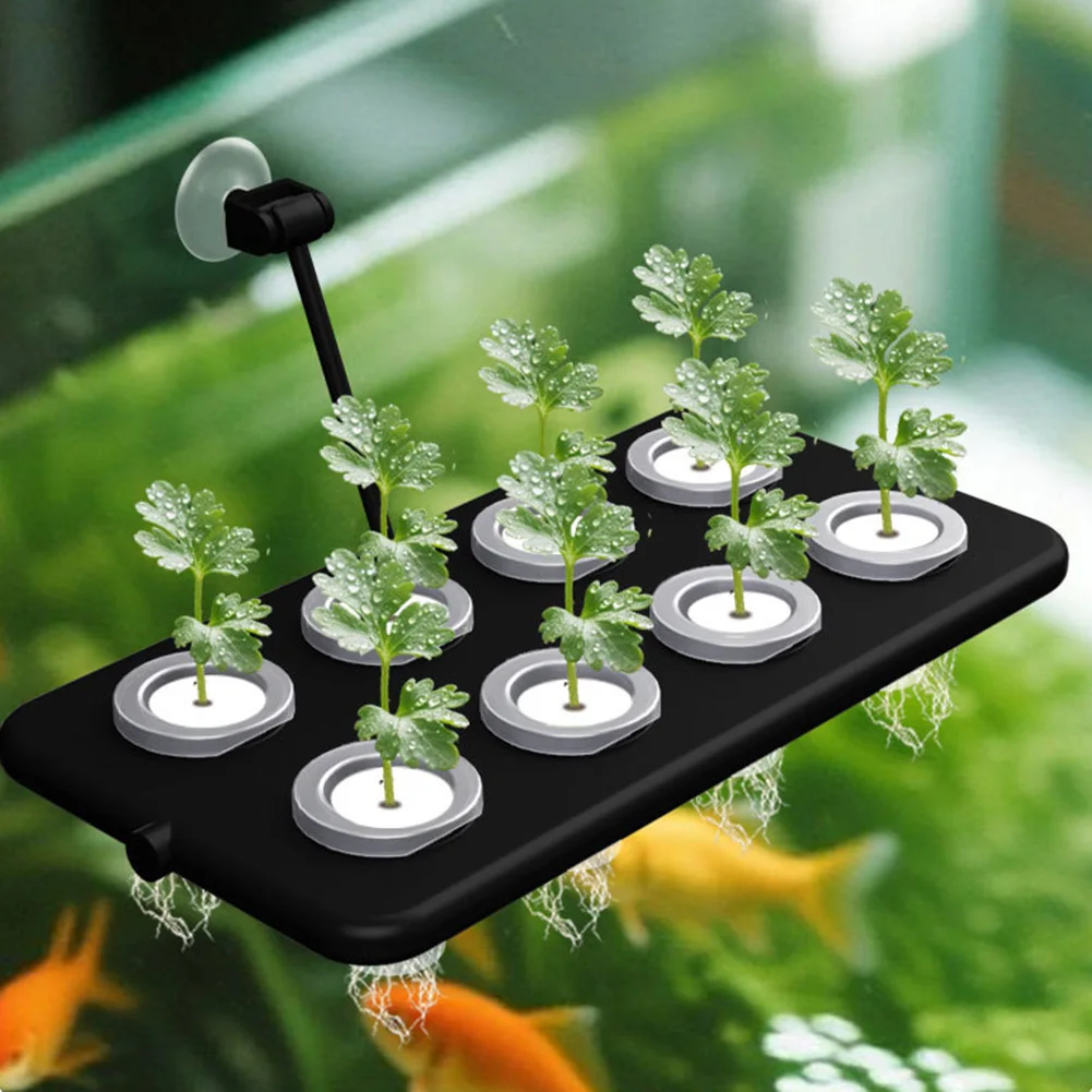 

Aquatic Planting Planting Baskets Wall-mounted Suction Cup Aquarium Landscaping Floating Planting Boards Indoor Gardening