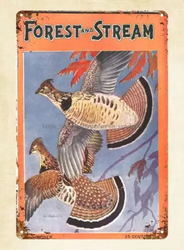 Forest and Stream Rod and Gun Magazine wood duck flying lake1924 metal tin sign