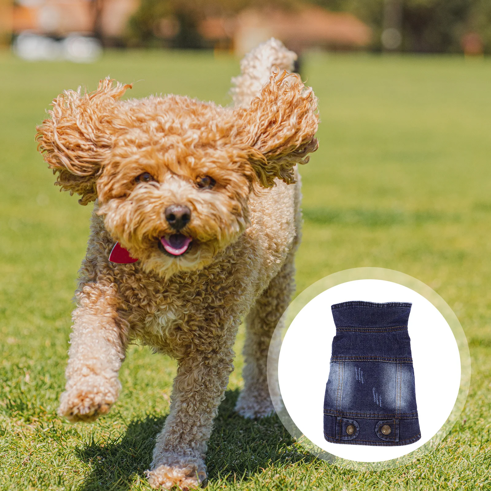 

Dog Vest For Small Dogs Durable Pet Apparel Comfortable Fit No Fade Odor Resistant Walking Jogging Outdoor Bichon Poodle