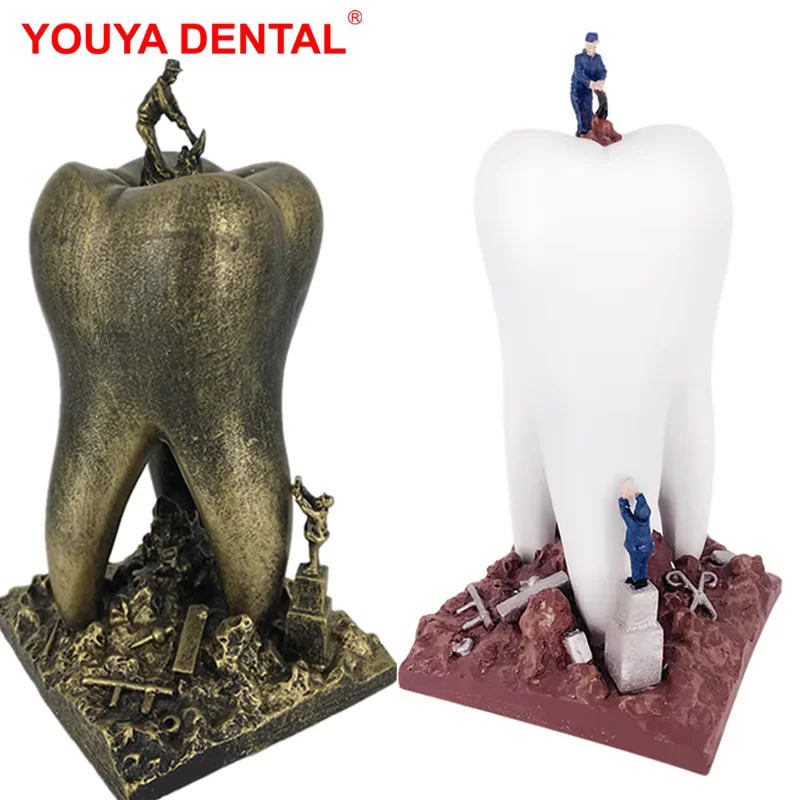 

Dentistry Gifts For Dentist Resin Molar Figurines Ornament Creative Desktop Sculpture Artcrafts Clinic Dental Desk Decoration