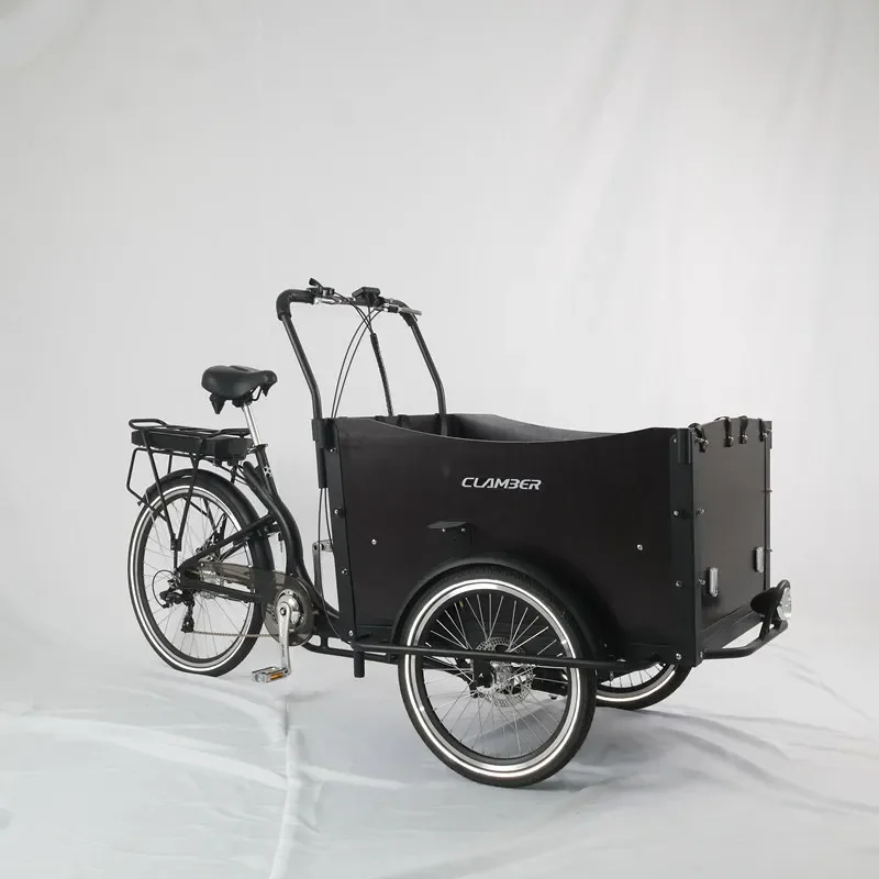 Hot Sale CE Certification3 Wheel Electric Cargo Bike/ Cargo Tricycle / Cargo Trike Front Box UB 9019E