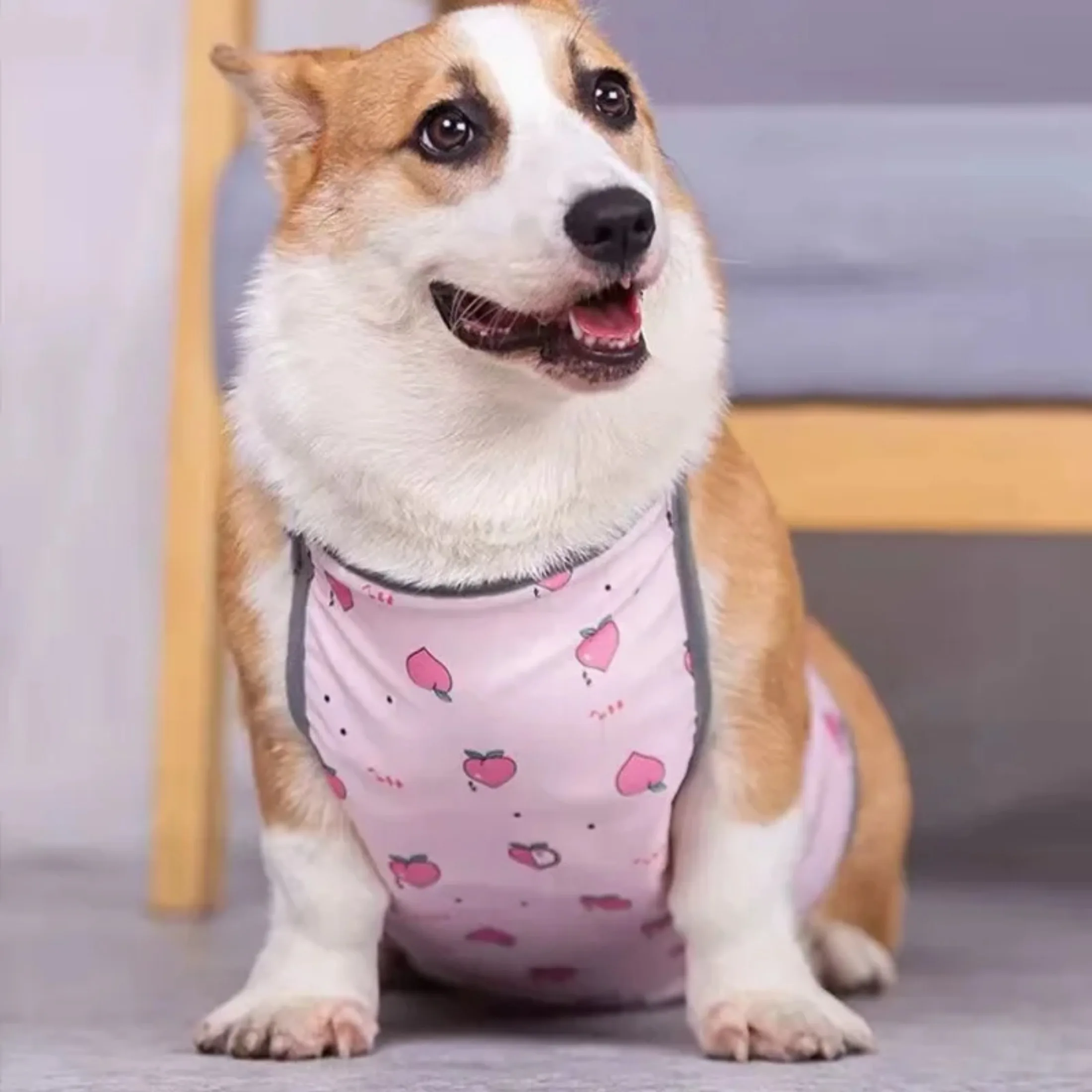 Corgi Special Apron Waterproof Anti-dirty Dog Summer Stomach Protection Anti-cold Small Dog Clothes Corgi Clothe Pet Clothes