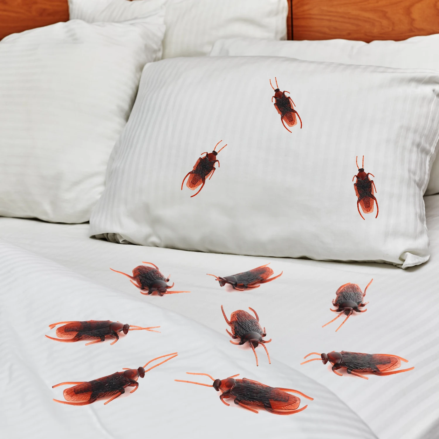 Trick props startle people, prank insects, realistic cockroaches, funny toys, and funny things