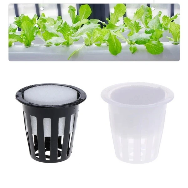 Black and White Plastic 4