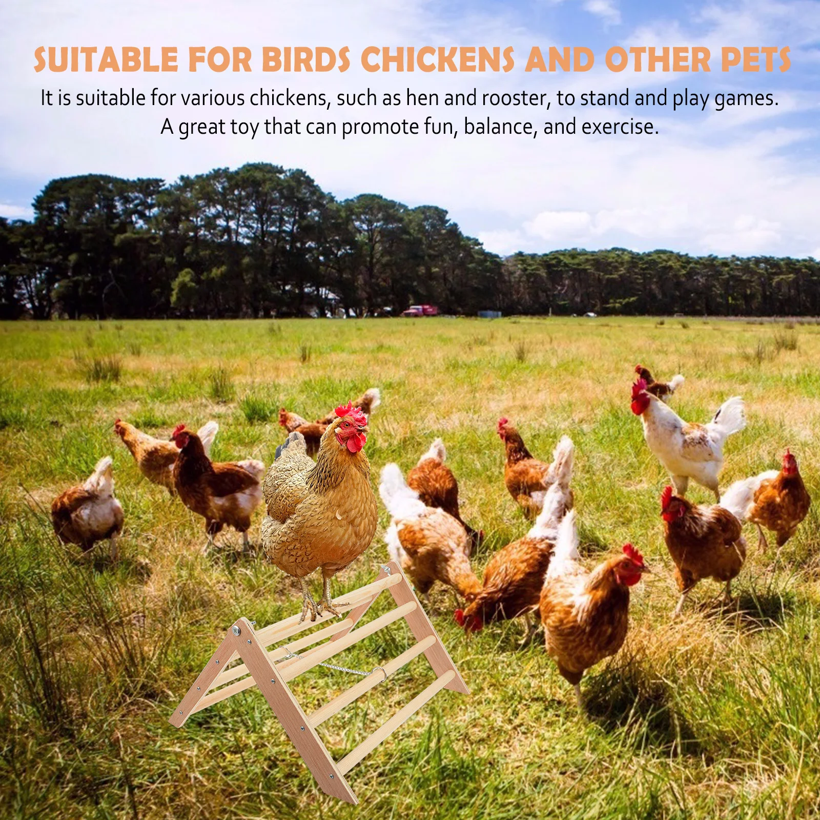 

1Pcs Wooden Chicken Perch Durable Handmade Rooster Hen Balance Play Pet Fun Rack Hen Standing Frame