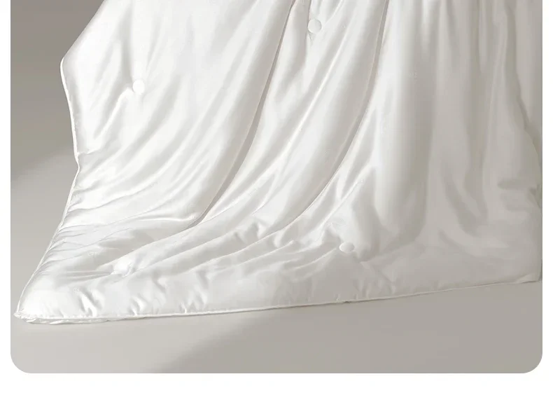 Soybean anti-mite spring and autumn quilt air conditioner quilt silk quilt student dormitory warm winter