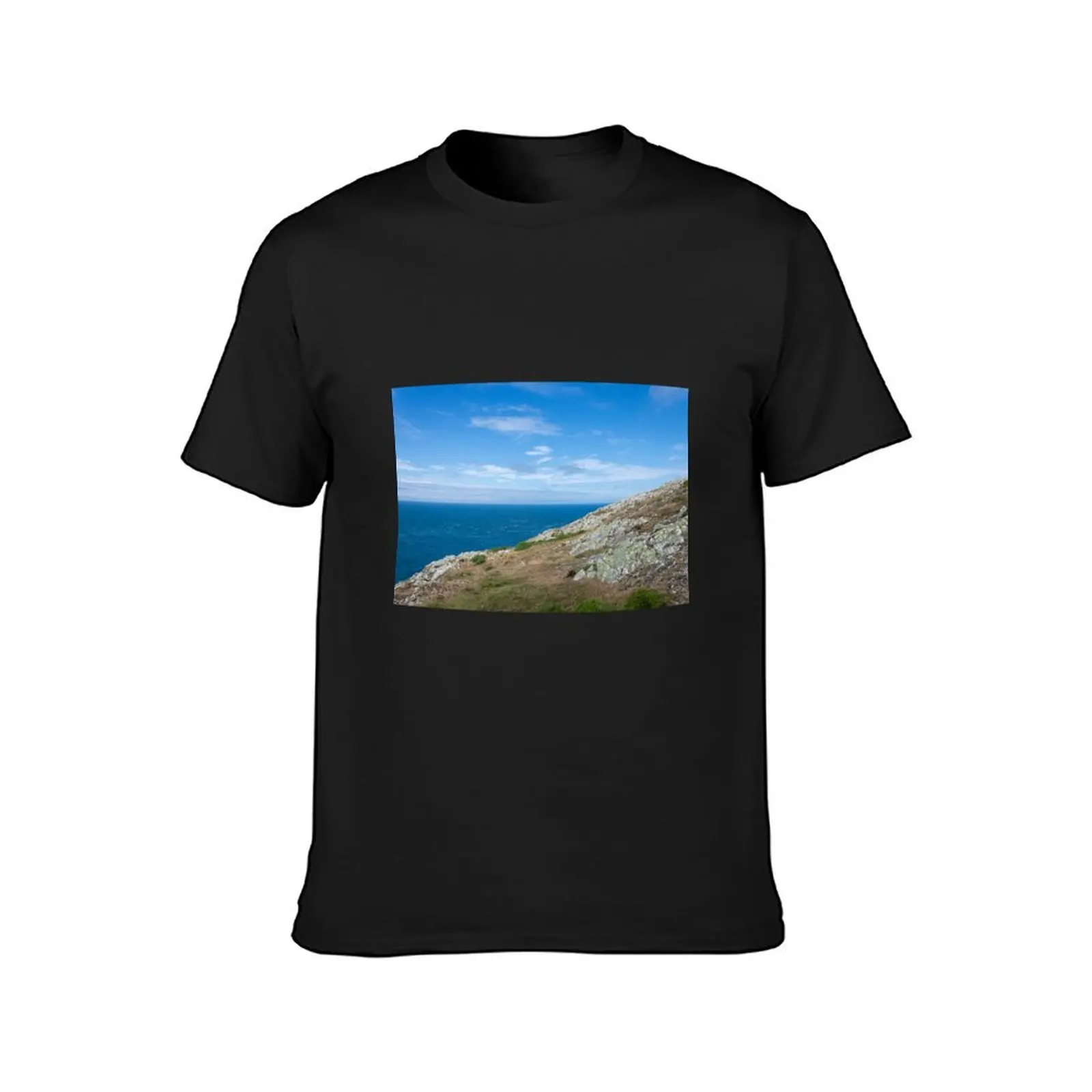 View from the headland T-Shirt hippie clothes oversized animal prinfor boys men clothes