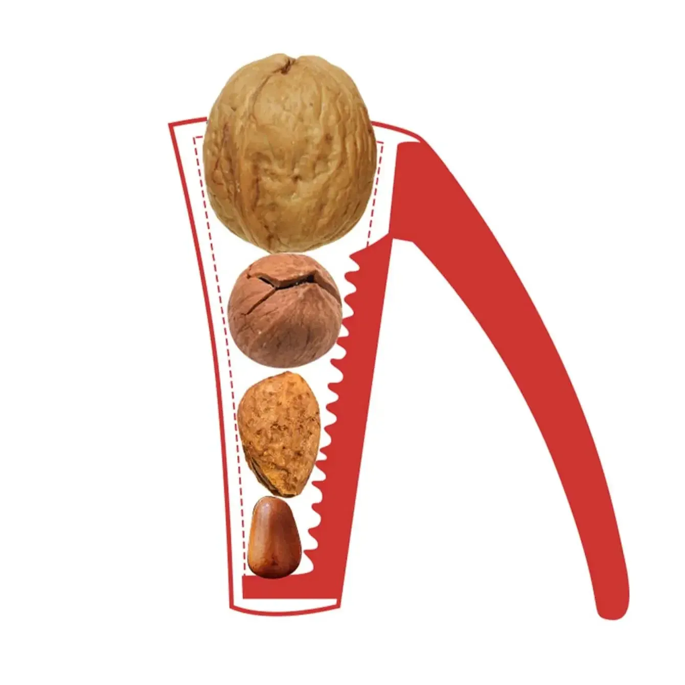 اللوز الجوز البقان المكسرات كسارة البندق سبائك الزنك الجوز فتاحة المقشر المطبخ أداة البندق الجوز كماشة المقشر أداة الكستناء السريع