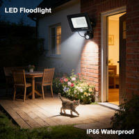 LED PIR Motion Sensor Floodlight 10W 20W 30W 50W 100W White Light IP66 Waterproof Outdoor Wall Spotlight for Garden Yard Drivewa