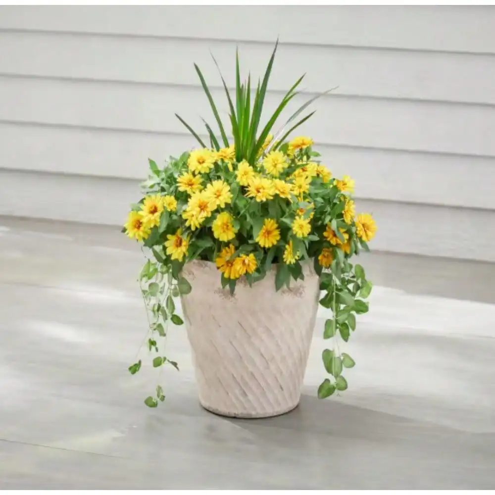 

Plant Pots. Ideal for large size plants with plenty of room for roots to grow. Durable, frost and fade resistant for indoor use
