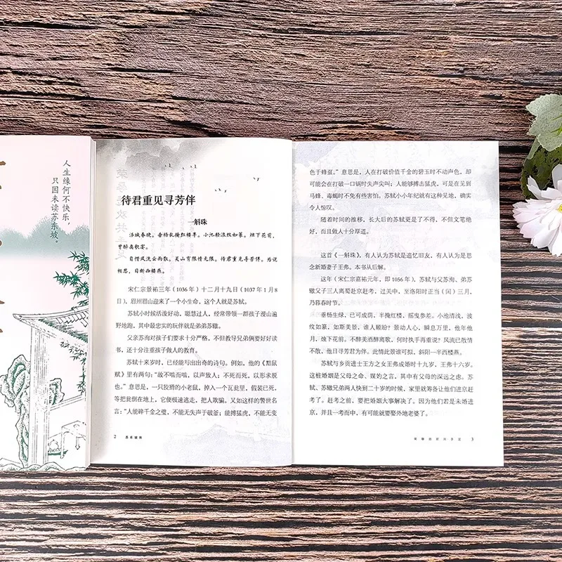 Biografía de Su Dongpo, Biografías de Su Shi, Figuras y Libros Históricos