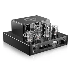 Nobsound-Amplificador de tubo de vacío, MS-10D MKII HiFi 2,0, 25W x 2, soporte Bluetooth, USB, entrada Coaxial óptica de graves