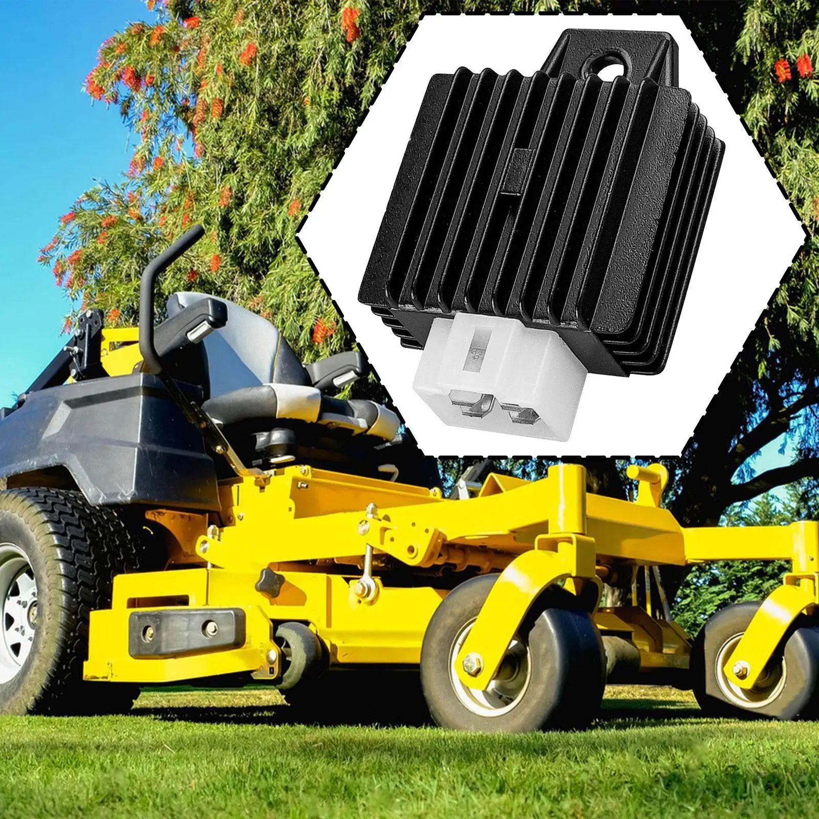 Motorcycle Regulato…