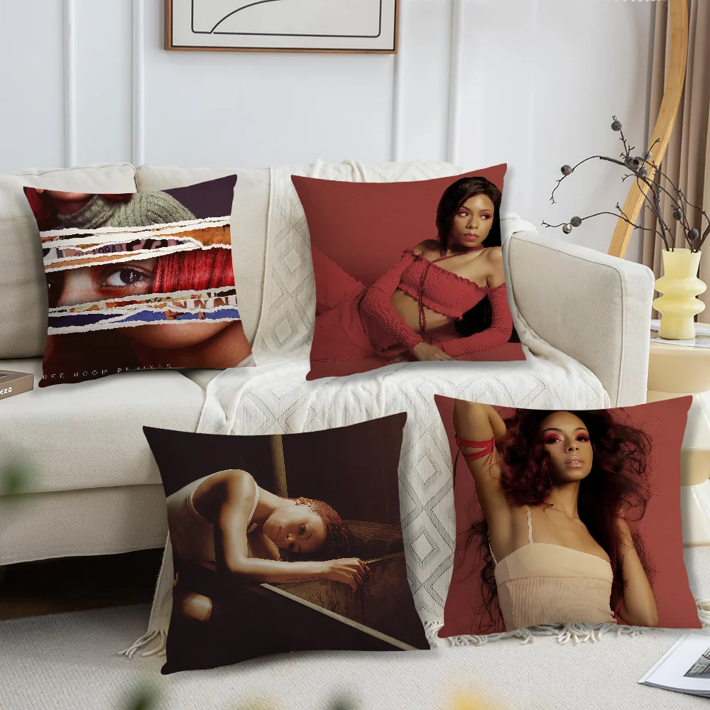 Singer R-Ravyn L-Lenae Birds Eye Cushion Cover For Pillow Printing Sofa Decoration Home Car Room Coffee Shop Nordic Simplicity