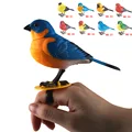 ring(random)