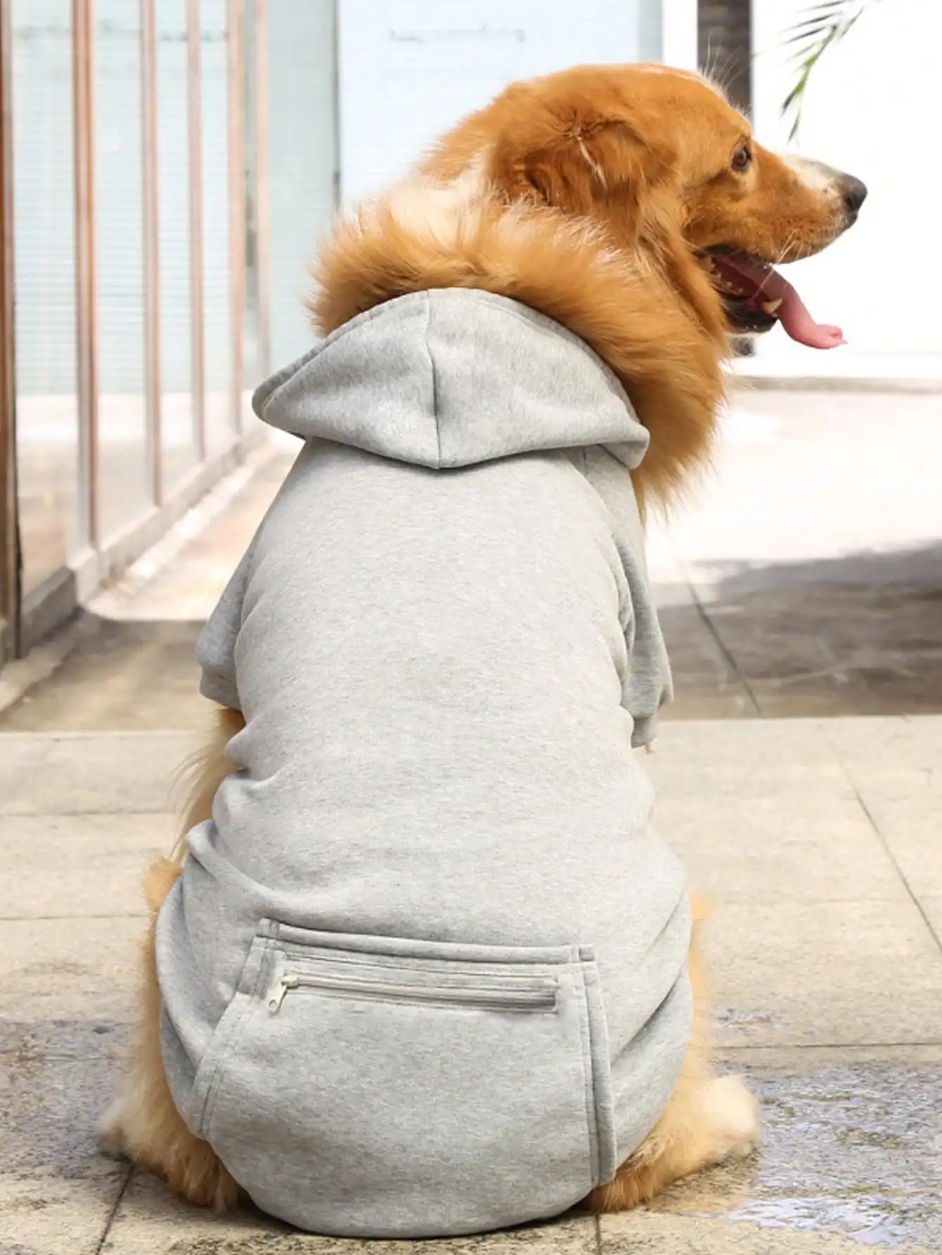 Hunde-Hoodie Premium Hundepullover für Kleine, Mittlere und Große Hunde |   Warme Outfits für Französische Bulldoggen, Pitbulls, Welpen, Jacke