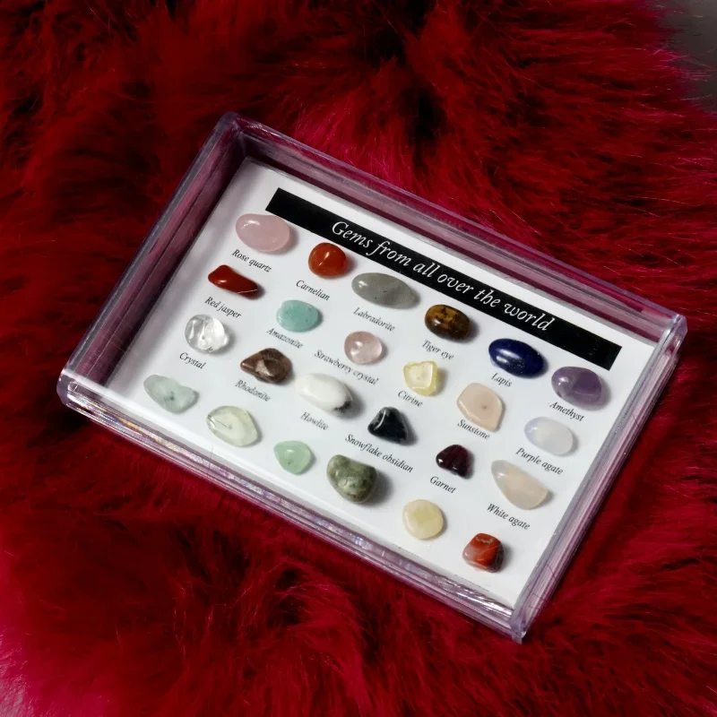 

24pcs Natural Gemstones Collection Box Quartz Crystal Amethyst Collectible Stone Mineral Specimen From All Over The World
