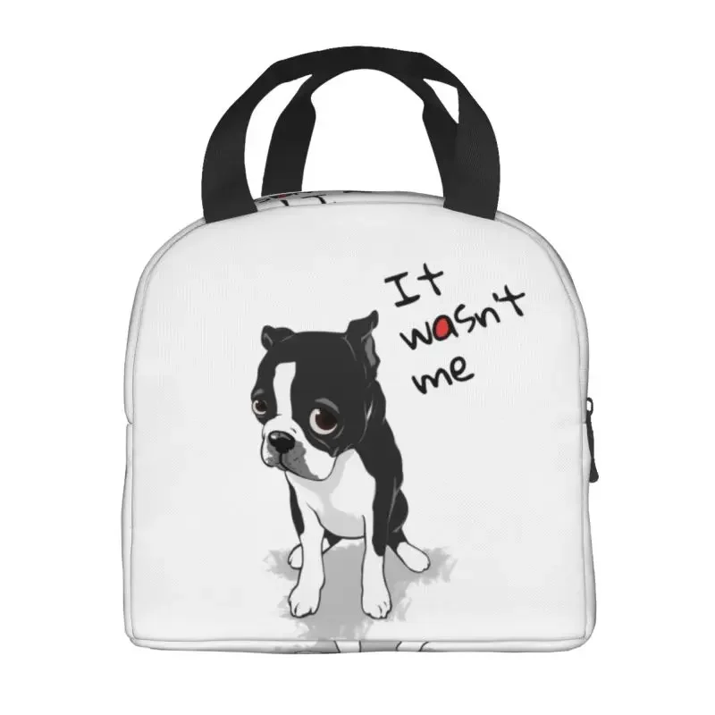 Boston Terrier non è stato Me borsa termica per il pranzo per l'ufficio scolastico modello cane dispositivo di raffreddamento impermeabile scatola termica per il pranzo donna bambini