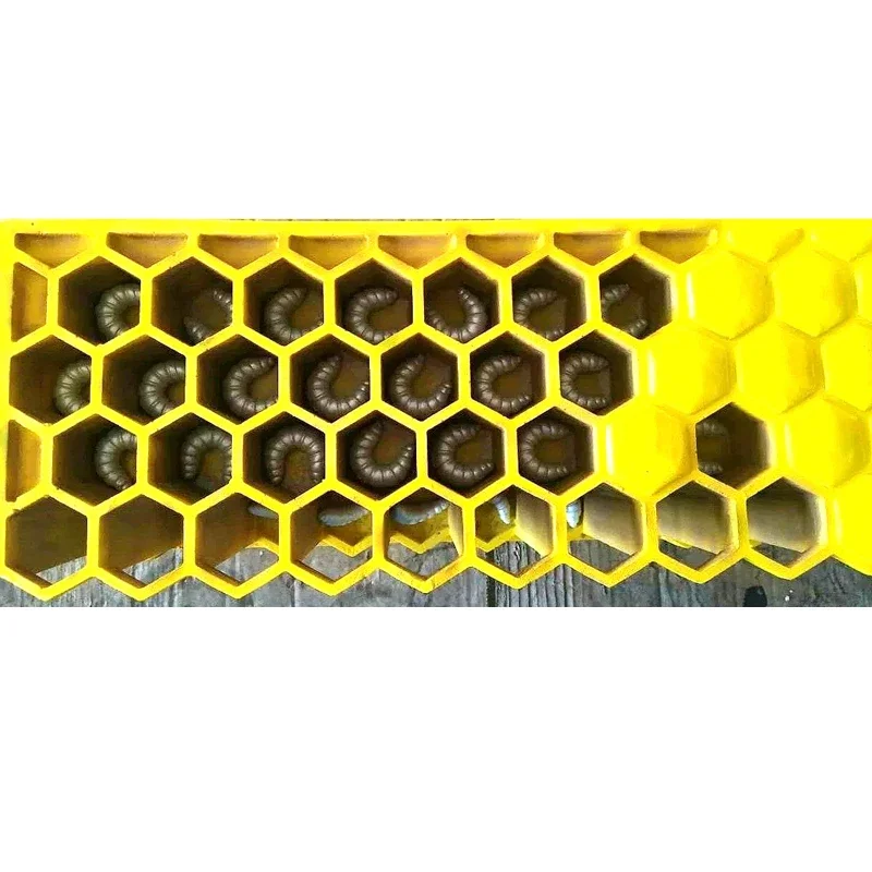 Large Bee Life Cycle Mold Beekeeping Education Teaching Mold, for GFRP Glass Fiber Reinforced Plastics Material Bee Life Mold