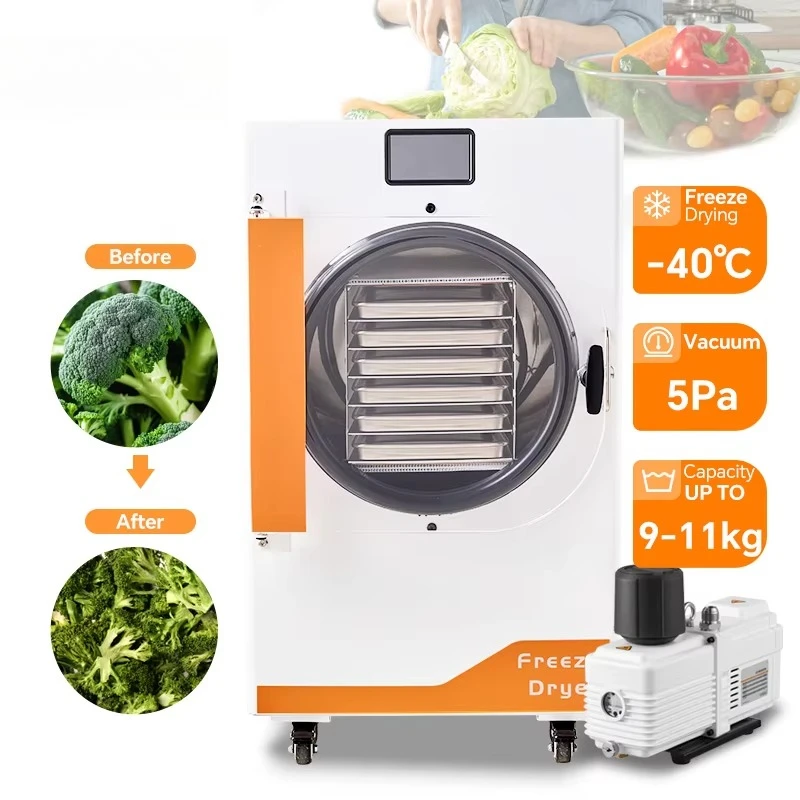 Customized Large Vacuum Lyophilizer D-20 Freeze Dryer 20kg Per Batch Easy Clean for Fruit Vegetable Home Kitchen Small Business