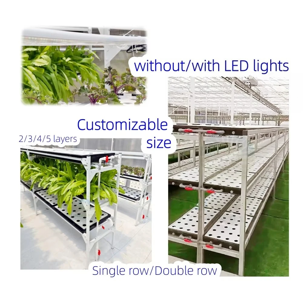 Hydroponic DWC Indoor Multi-layer Hydroponic System With Lights Plastic Floating Tray Growing Kit for Greenhouse Lettuces Fruit