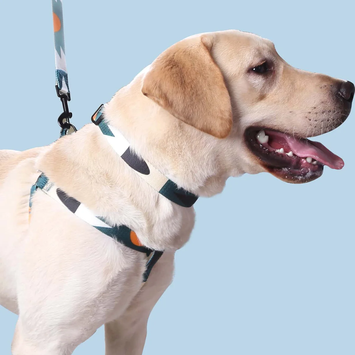 Dog Harness and Leash - Abstract Patchwork Colors - Comfortable Adjustable Size - Suitable for Dogs Outdoor Activities